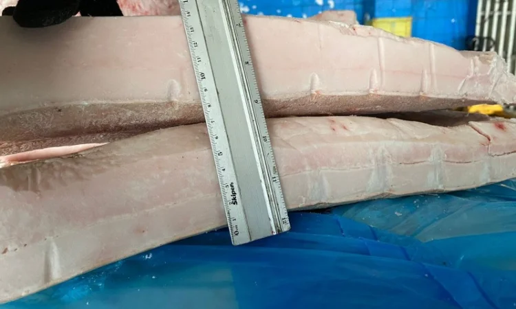 Продам субпродукти курячі, свинні, яловичі, індичі - фото № 2