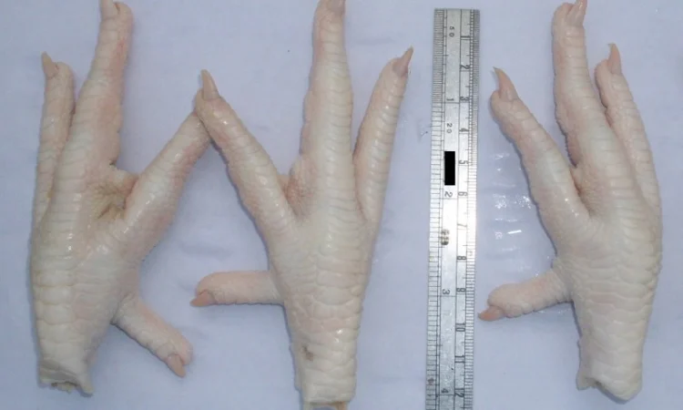 Мясо и мясо птицы - фото № 1