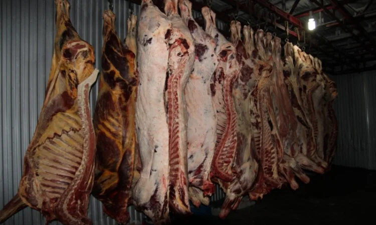 М'ясо Свіже Полотуші - фото № 1