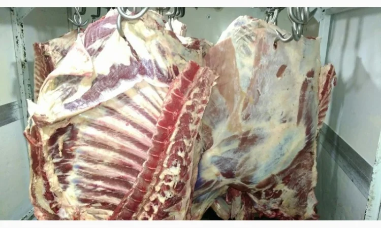 М'ясо Свіже Полотуші - фото № 9