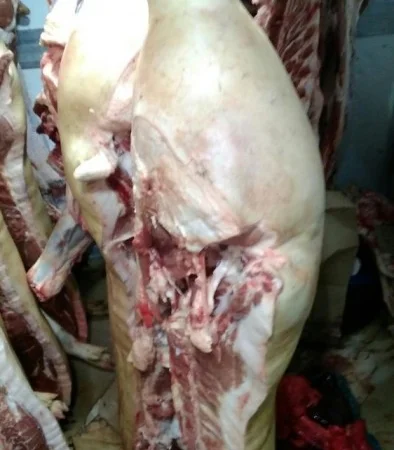 М'ясо Свіже Полотуші - фото № 12