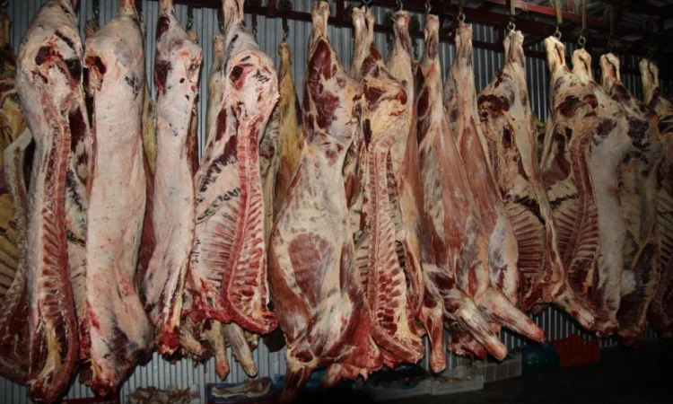 М'ясо Свіже Полотуші - фото № 2