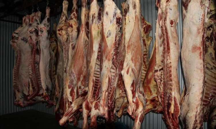 М'ясо Свіже Полотуші - фото № 4