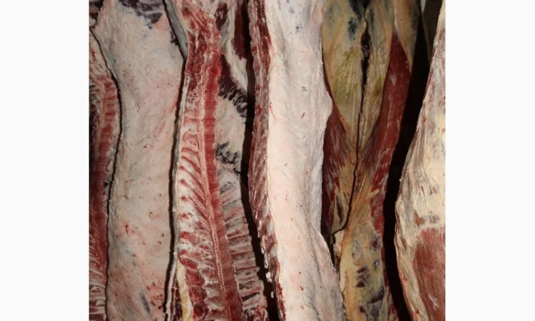 М'ясо Свіже Полотуші - фото № 5