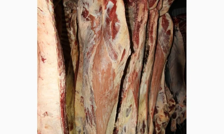 М'ясо Свіже Полотуші - фото № 6