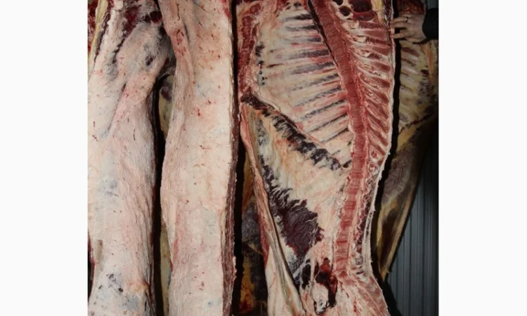 М'ясо Свіже Полотуші - фото № 7