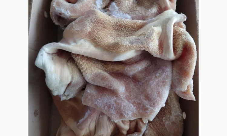 Продам рубець митий, чищений - фото № 1