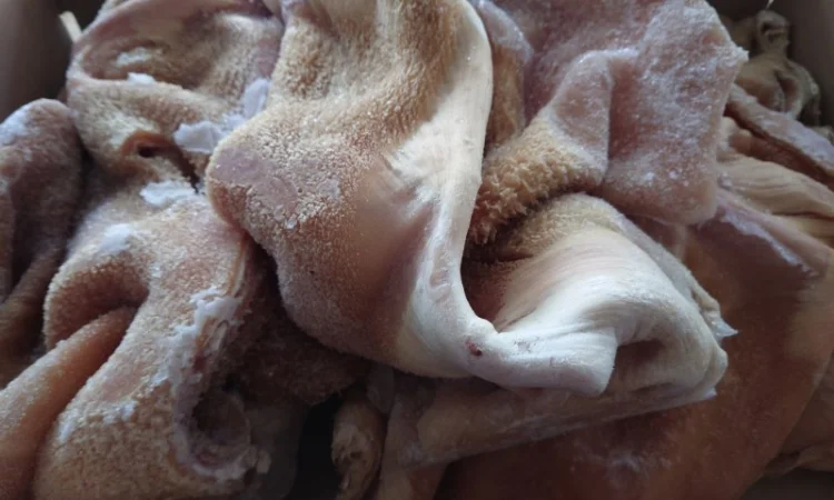 Продам рубець митий, чищений - фото № 3