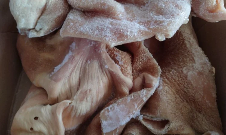 Продам рубець митий, чищений - фото № 5