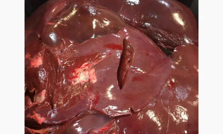 Субпродукты. шпик. мясная обрезь цены на simplexmeat.de - фото № 1