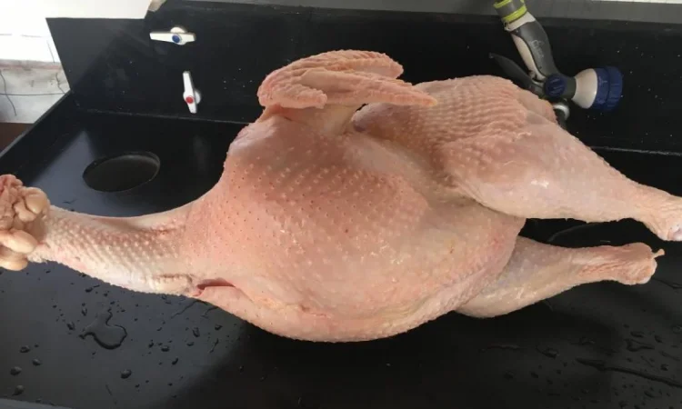 Домашнее мясо, курица, индейка - фото № 5