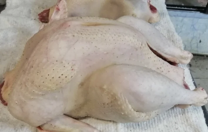 Домашнее мясо, курица, индейка - фото № 6