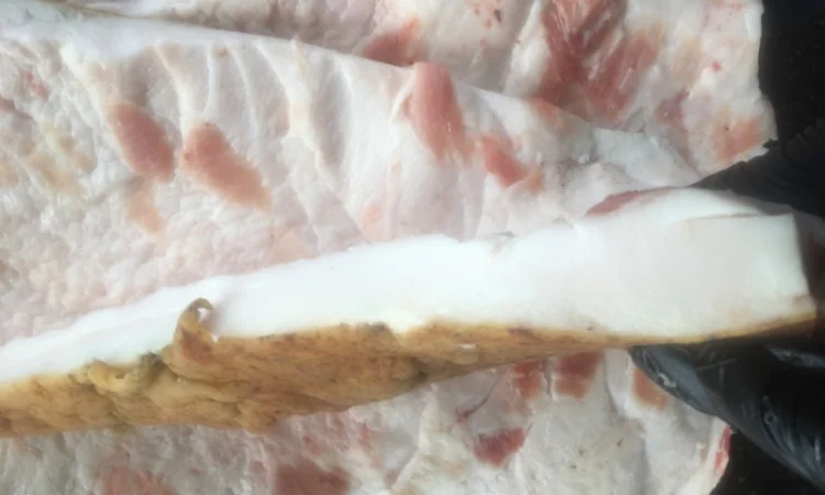 Продам сало домашнее высмаленое - фото № 1