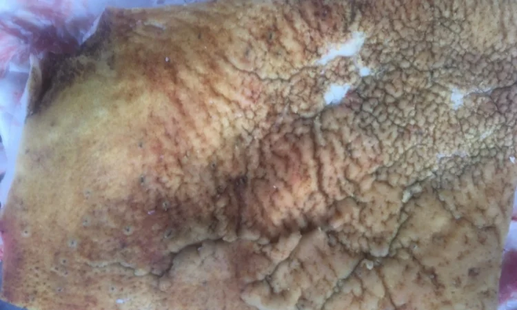 Продам сало домашнее высмаленое - фото № 2