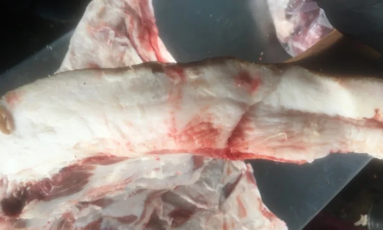 Продам сало домашнее высмаленое - фото № 4