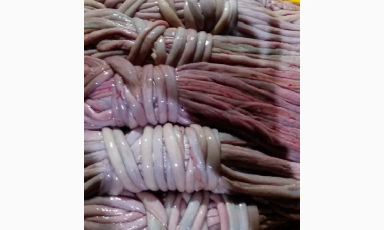 Куплю свиную кишку - фото № 1