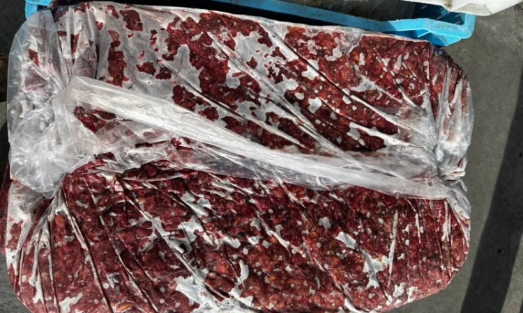 Продам корм (фарш говяжий) для собак - фото № 3