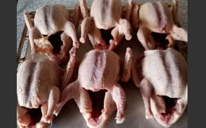 М'ясо м'ясних голубів - фото № 1