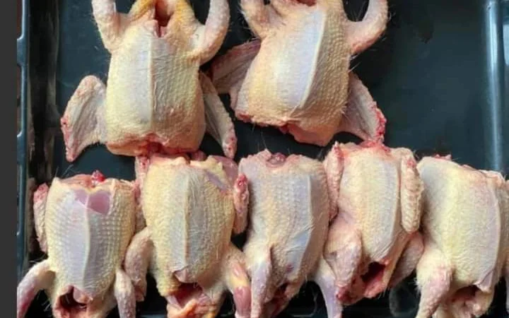 М'ясо м'ясних голубів - фото № 2