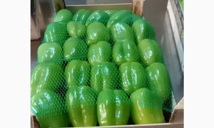 Цитрусові та овочі з Туреччини від постачальника - фото № 17