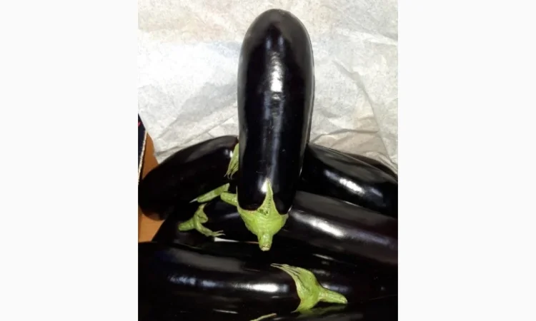 Цитрусові та овочі з Туреччини від постачальника - фото № 16