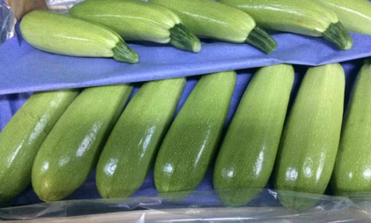 Цитрусові та овочі з Туреччини від постачальника - фото № 15