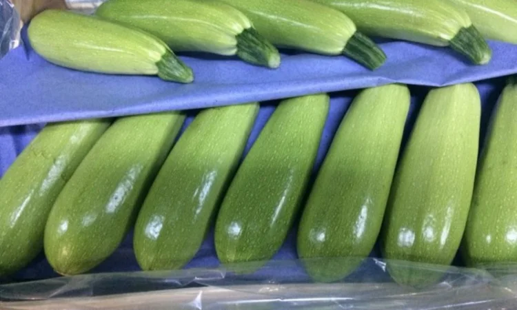 Цитрусові та овочі з Туреччини від постачальника - фото № 8