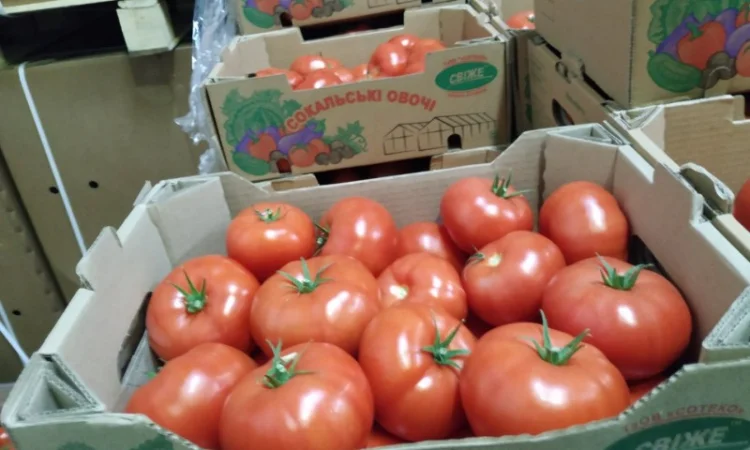 Продаются овощи и фрукты от поставщика от 5 тонн - фото № 1