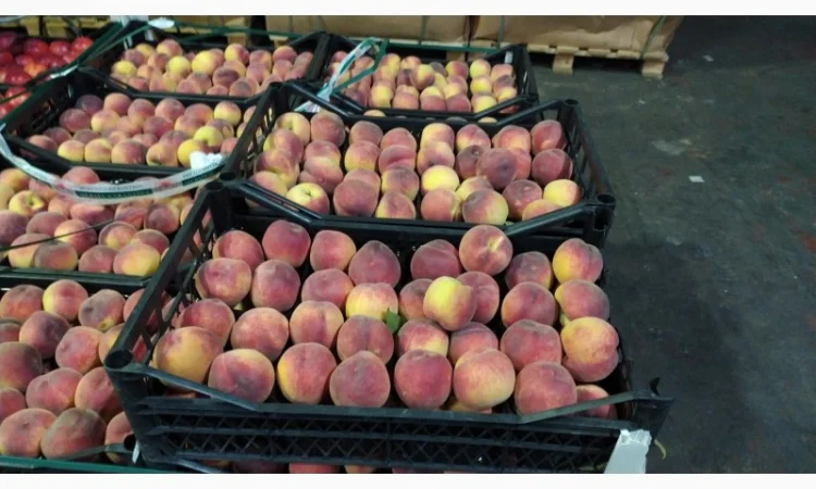 Продаются овощи и фрукты от поставщика от 5 тонн - фото № 14