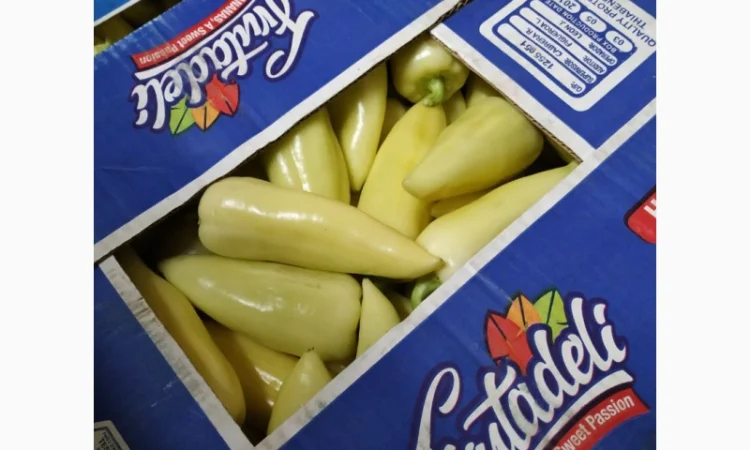 Продаются овощи и фрукты от поставщика от 5 тонн - фото № 13