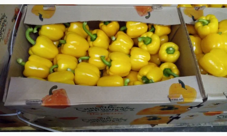 Продаются овощи и фрукты от поставщика от 5 тонн - фото № 2