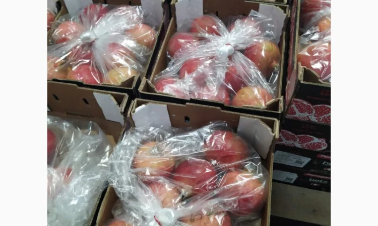 Продаются овощи и фрукты от поставщика от 5 тонн - фото № 10