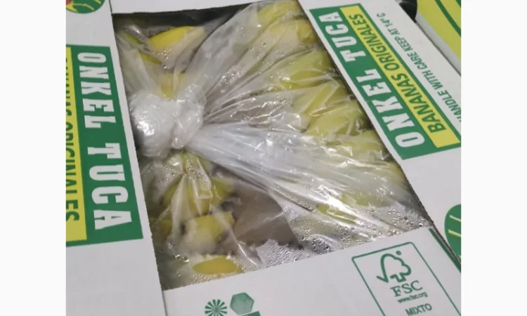 Продаются овощи и фрукты от поставщика от 5 тонн - фото № 9