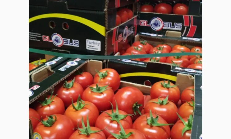 Продаются овощи и фрукты от поставщика от 5 тонн - фото № 5