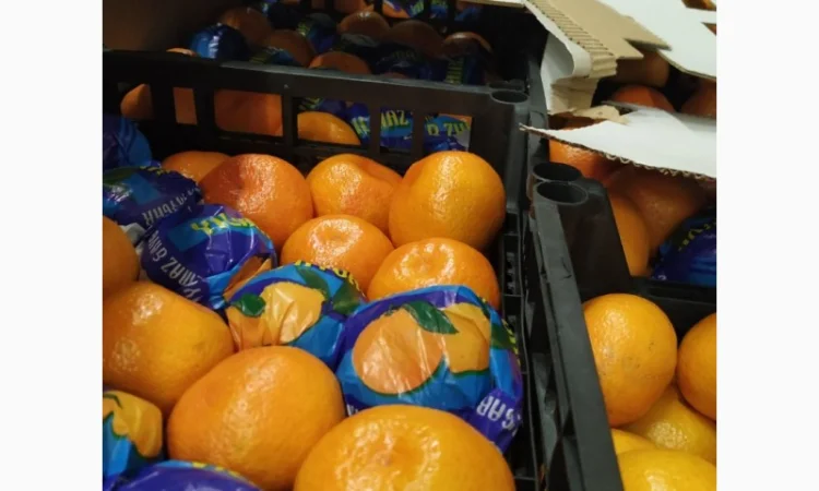 Продаются овощи и фрукты от поставщика от 5 тонн - фото № 3