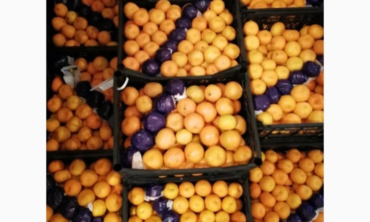 Срочно продам апельсіни, мандарини та лимони від постачальника - фото № 1