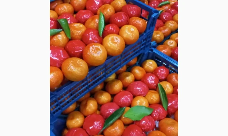 Срочно продам апельсіни, мандарини та лимони від постачальника - фото № 4