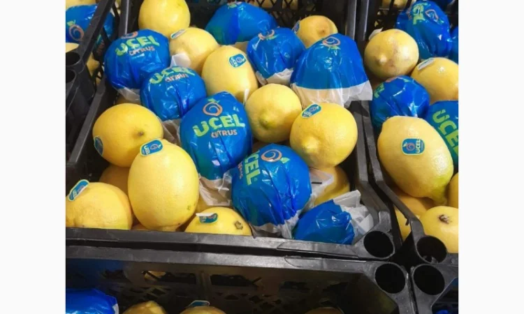 Срочно продам апельсіни, мандарини та лимони від постачальника - фото № 6