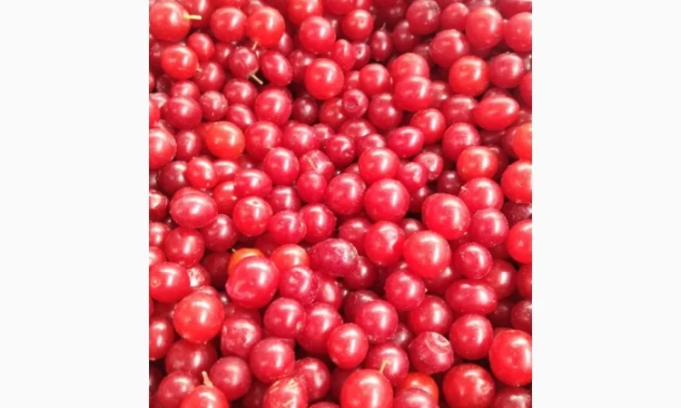 Продається заморожена калина в упаковках - фото № 1