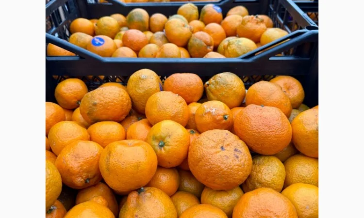 Продам грузинские мандарины и лимоны, Опт, Крупный и мелкий - фото № 1