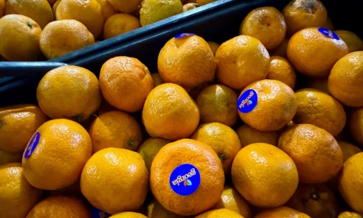 Продам грузинские мандарины и лимоны, Опт, Крупный и мелкий - фото № 2