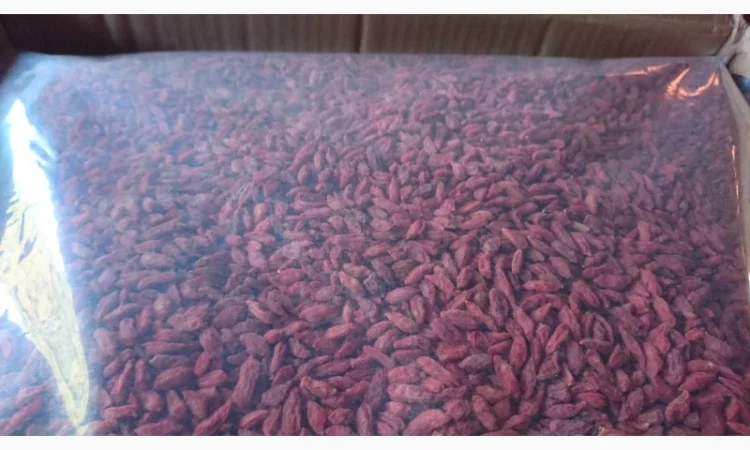 500 Ягоди годжі (Ягоды Годжи) опт и розница - фото № 3