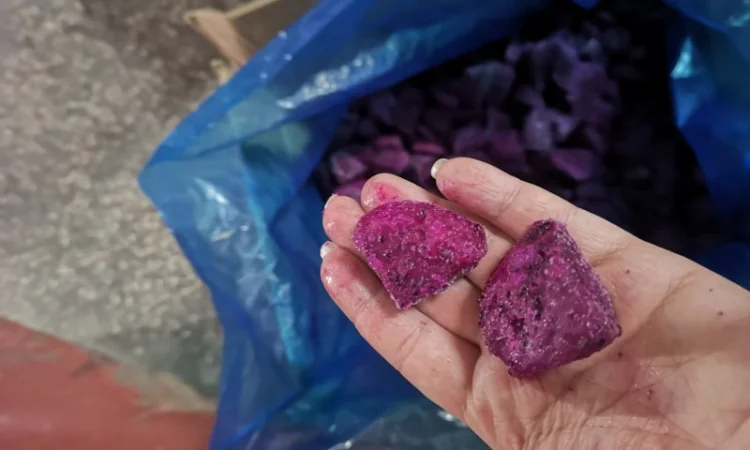 Продам пітахайю червону - фото № 2