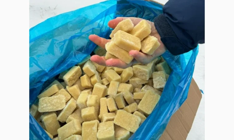 Продается имбирное пюре в брусках по 20г (Китай) - фото № 1