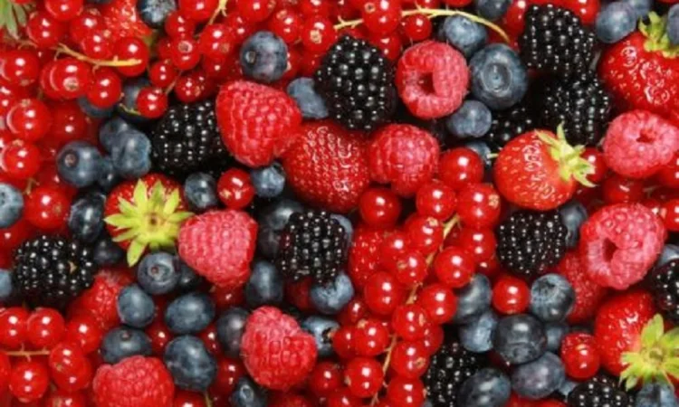 Овощи, фрукты и ягоды оптом - фото № 1