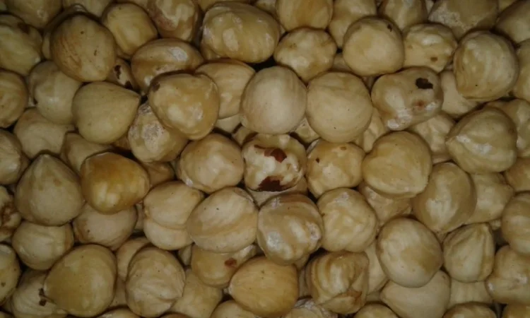 Орехи: бразильский, макадамия, фундук, пекан миндаль, кешью, фисташки, Ассортимент орехов - фото № 4