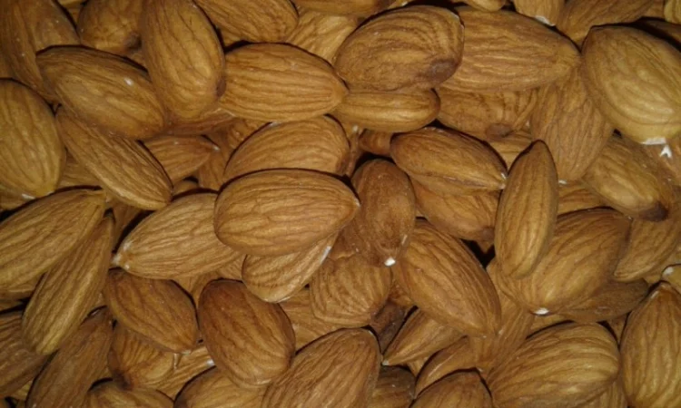 Орехи: грецкий, бразильский, макадамия, фундук, пекан, миндаль, кешью, фисташки от 1 кг - фото № 3