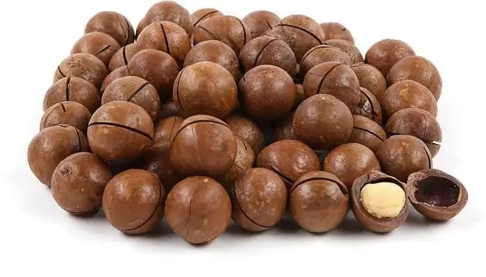 Оптовая и розничная продажа орехов макадамия - фото № 1