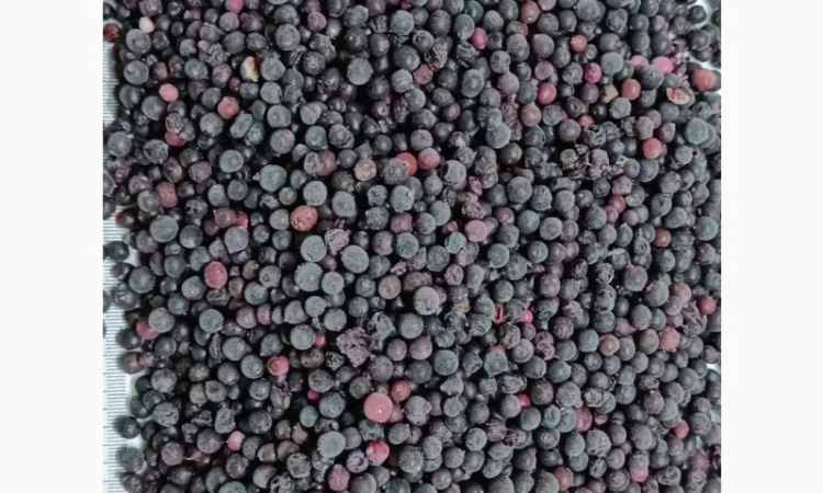 Горобина заморожена - фото № 1