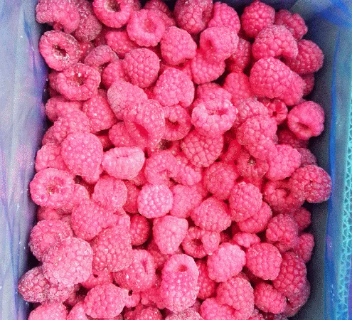Продається заморожена малина та ожина - фото № 1